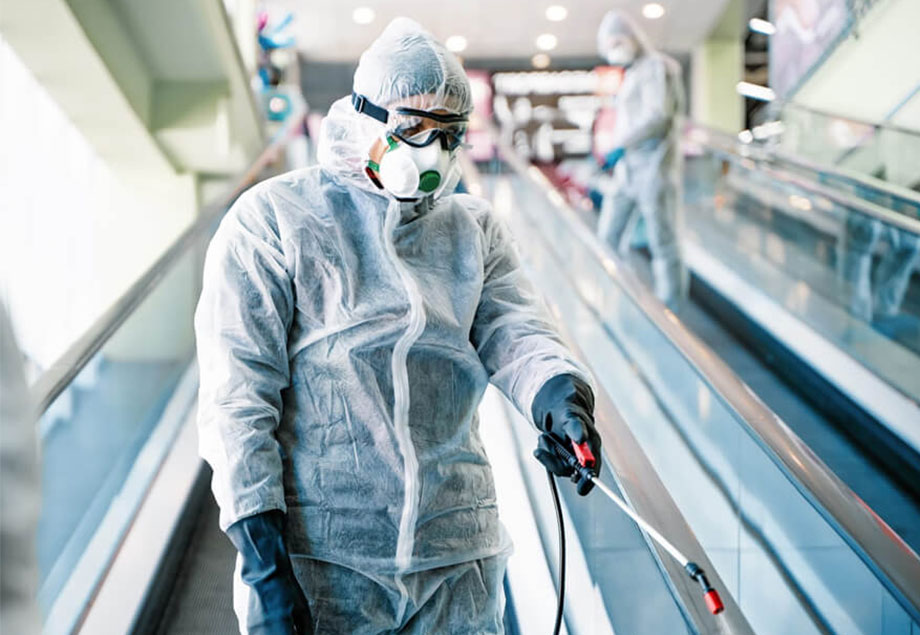 Απεντόμωση Θεσσαλονίκη