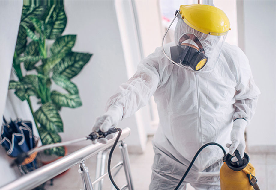 απεντόμωση θεσσαλονίκη