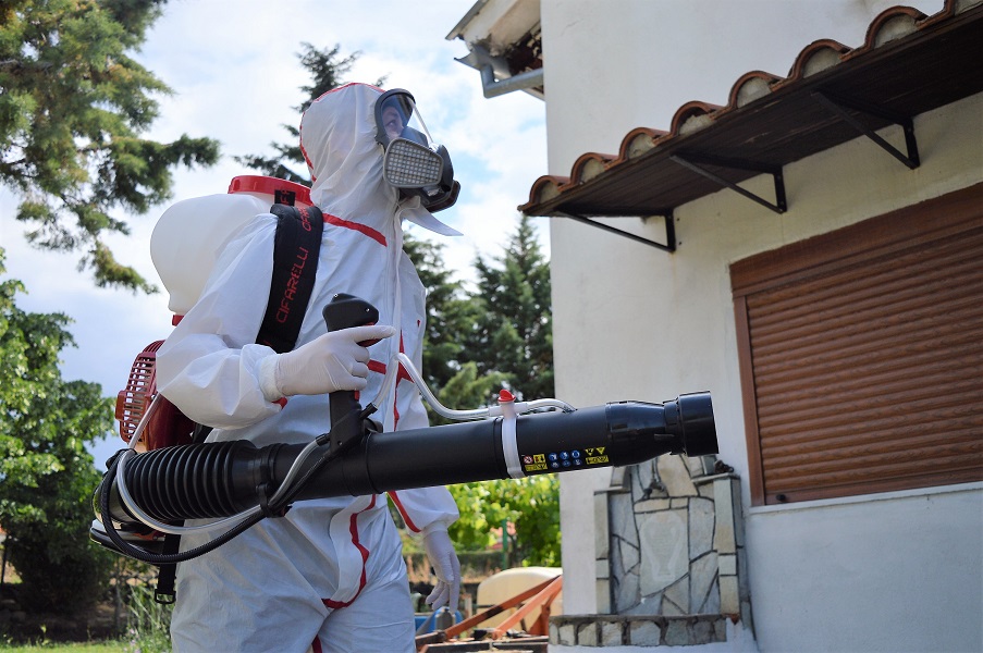 απεντομωση θεσσαλονικη