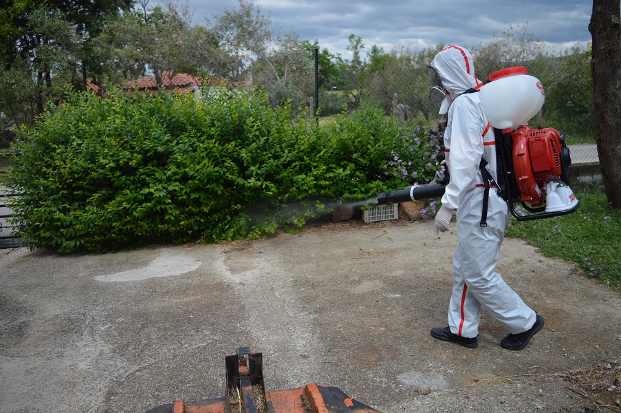 απεντόμωση Θεσσαλονίκη