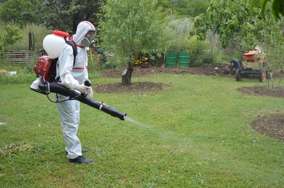 Απεντόμωση Θεσσαλονίκη